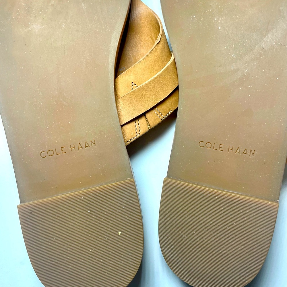 Cole Haan Felicity Leather Thong Sandal - Picture 5 of 7